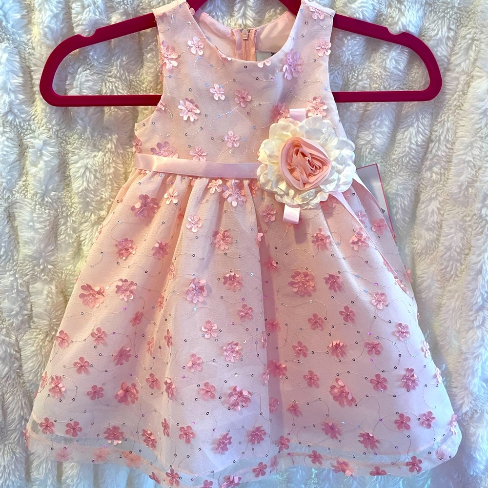 Rare Editions light pink flower embroidered lace party dress